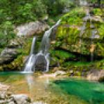 Logo für Gruppe WALL-E